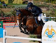 Paini Ottava Meraviglia GioCav2013 S5 4612 : Horses, Ottava Meraviglia, Paini Paolo, ph Stefano Secchi ©